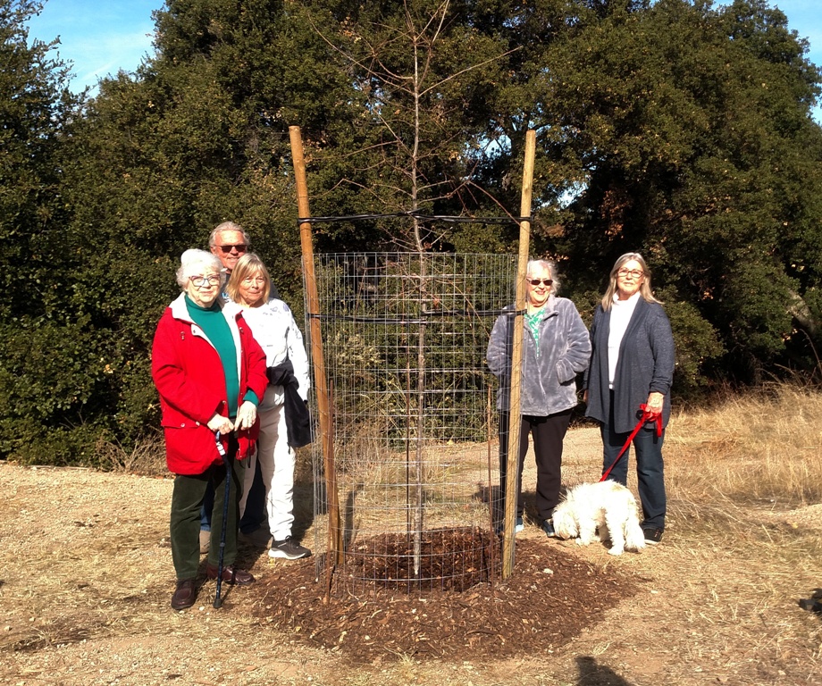 Helen Jernigan and friends around the tree dedicated to Don Jernigan
